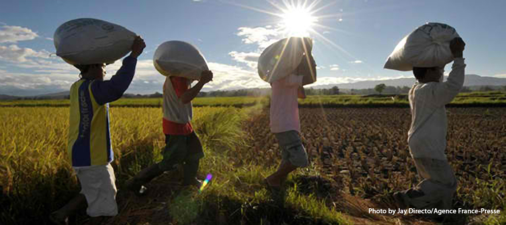 farmers